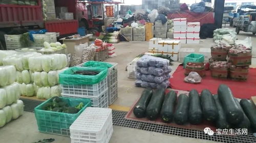 寶應鄉土人才齊力擔當戰 疫 情