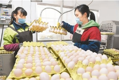 多部門聯(lián)手保供穩(wěn)價(jià)