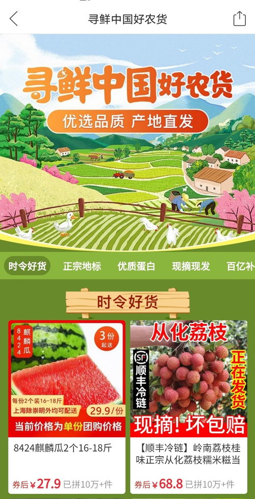 夏邑西瓜今夏 火 出圈,秘訣在于這個職業(yè)