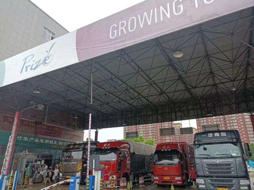 萬邦市場貨量充足,供應(yīng)基本正常,農(nóng)副產(chǎn)品價格基本穩(wěn)定