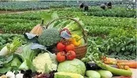 農(nóng)業(yè)未來5年的發(fā)展方向