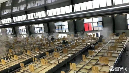 腐竹 廠價(jià)直銷 量大可訂做包裝規(guī)格許昌含鹽價(jià)格7.2元 斤 惠農(nóng)網(wǎng)