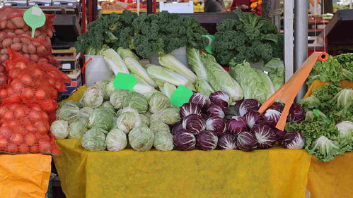 糧油 中國食品安全網