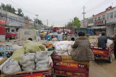 薇婭偷逃稅被罰13.41億,農(nóng)民網(wǎng)上賣(mài)菜要繳稅嗎?看看規(guī)定咋說(shuō)