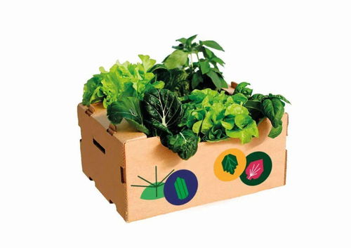 農(nóng)產(chǎn)品也需要做一個有產(chǎn)品品牌戰(zhàn)略思考的產(chǎn)品