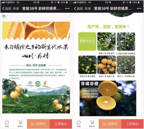 開店不到一個月銷售額破百萬 他們的農產品為何如此暢銷