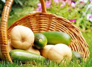 農產品品質包括哪些方面