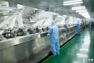 海寧企業逆境突圍 年產值預計突破3億，日用百貨新品引領市場