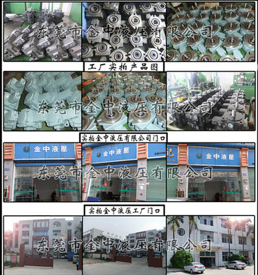 AR16變量柱塞泵 從機械通用到專業(yè)液壓系統(tǒng)的核心動力